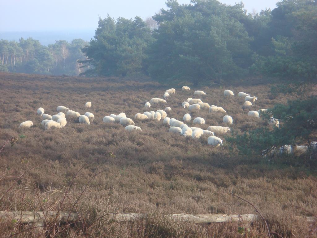 De Luttikhoeve